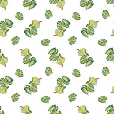 Suluboya gül yaprakları. Yeşil yaprakların kusursuz deseni. Çizim, izole bir arkaplanda elle suluboya tekniğiyle yapılır. Tasarımın için illüstrasyon.