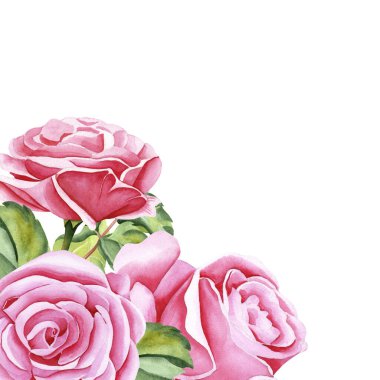 Suluboya güller. Gül çiçekleri, saplar, yapraklar ve tomurcuklardan oluşan çerçeve. İzole edilmiş arka planda elle çizilmiş suluboya resim. Tasarımın için illüstrasyon.