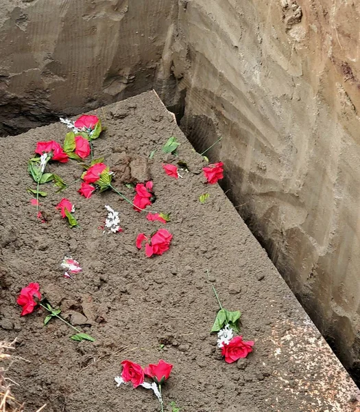 Red roses over casket underground
