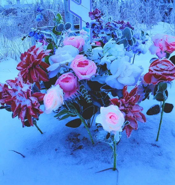 Frozen flowers in winter