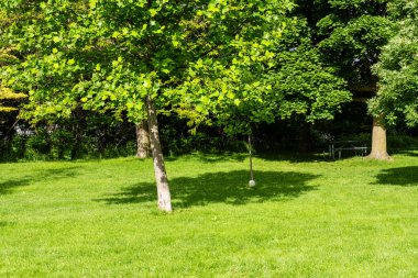 Toronto Ontario 'daki yeşil şehir parkındaki patika - dinlenmek için ağaçlı yeşil çayır