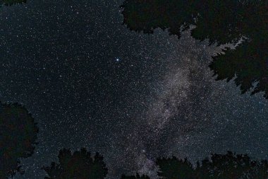 Gece gökyüzü sayısız yıldızla ve Samanyolu 'nun kozmik ışığıyla benekli.