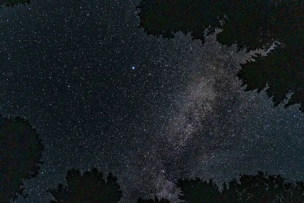 Gece gökyüzü sayısız yıldızla ve Samanyolu 'nun kozmik ışığıyla benekli.