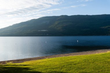 Güneşli bir sabah Yazın Herald vilayet parkının yakınında Güzel Shuswap Gölü İngiliz Kolombiyası Kanada