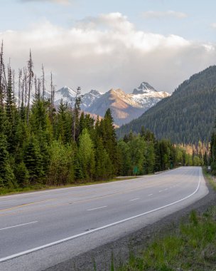 Yaz boyunca yeşil ormanların arasında karlı dağlarla kaplı asfalt yol.