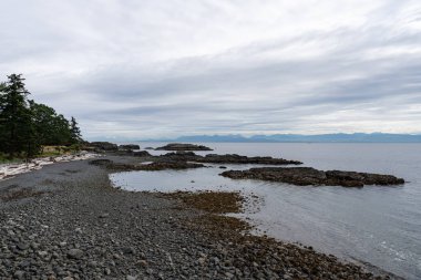 Neck Point Parkı Finn Sahili. Georgia Boğazı 'nda dalış dersleri için popüler Nanaimo mekanı.