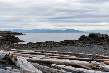 Neck Point Parkı Finn Sahili. Georgia Boğazı 'nda dalış dersleri için popüler Nanaimo mekanı.