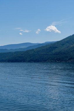 Güneşli bir sabah Yazın Herald vilayet parkının yakınında Güzel Shuswap Gölü İngiliz Kolombiyası Kanada