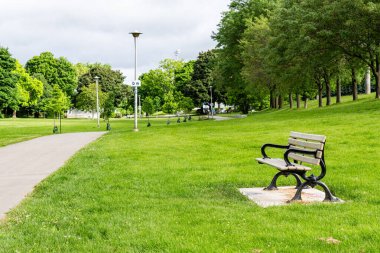 TORONTO, CANADA - 10 Haziran 2024: Toronto Ontario 'daki yeşil şehir parkında yürüyüş - dinlenmek için ağaçlı yeşil çayır