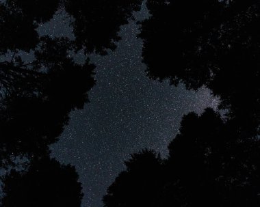 Gece gökyüzü sayısız yıldızla ve Samanyolu 'nun kozmik ışığıyla benekli.