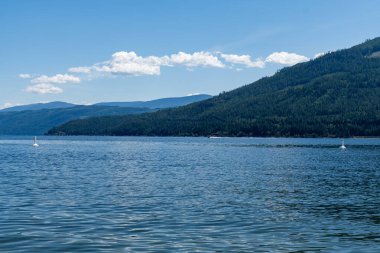 Güzel Shuswap Gölü Herald il parkı yakınlarında güneşli bir yaz günü British Columbia Kanada