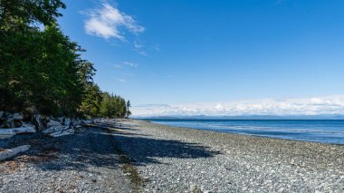 Malcolm Adası kıyıları, yaşlı ağaç kütükleri, güzel okyanus suları, mavi gökyüzünde bulutlar.