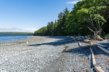 Malcolm Adası kıyıları, yaşlı ağaç kütükleri, güzel okyanus suları, mavi gökyüzünde bulutlar.