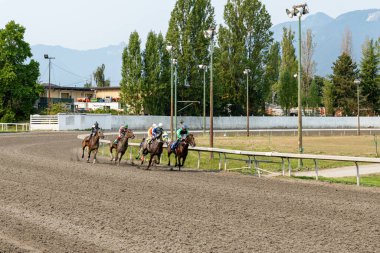 VANCOUVER, BC, CANADA - Eylül 07, 2024: Yarış atı jokeyi bitiş çizgisine yaklaşıyor, atlarla spor, şehir hipodromu