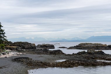 NANAIMO, CANADA - 29 Haziran 2024: Gürcistan Boğazı 'ndaki dalış dersleri için Neck Point Park Finn Sahili popüler Nanaimo bölgesi