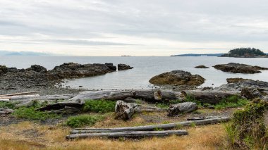 NANAIMO, CANADA - 29 Haziran 2024: Gürcistan Boğazı 'ndaki dalış dersleri için Neck Point Park Finn Sahili popüler Nanaimo bölgesi