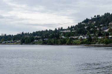NANAIMO, CANADA - 29 Haziran 2024: Gürcistan Boğazı 'ndaki Neck Point Park Finn Sahili manzaralı