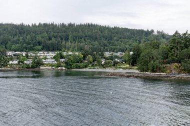 NANAIMO, CANADA - 29 Haziran 2024: Gürcistan Boğazı 'ndaki Neck Point Park Finn Sahili manzaralı