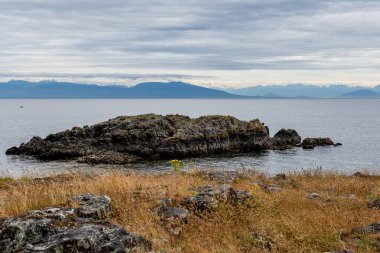 Neck Point Parkı Finn Sahili. Georgia Boğazı 'nda dalış dersleri için popüler Nanaimo mekanı.