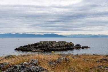 Neck Point Parkı Finn Sahili. Georgia Boğazı 'nda dalış dersleri için popüler Nanaimo mekanı.