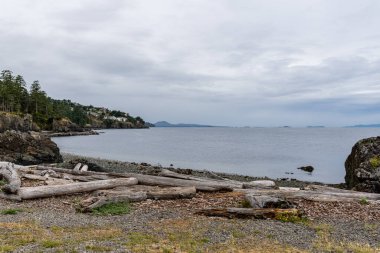 NANAIMO, CANADA - 29 Haziran 2024: Gürcistan Boğazı 'ndaki dalış dersleri için Neck Point Park Finn Sahili popüler Nanaimo bölgesi