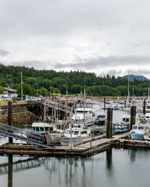 PORT MCNEILL, CANADA - 29 Haziran 2024: Vancouver Adası Sahil Marina Limanı
