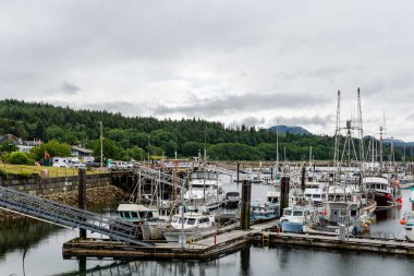 PORT MCNEILL, CANADA - 29 Haziran 2024: Vancouver Adası Sahil Marina Limanı