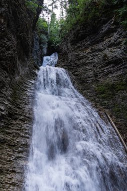 Margaret Falls, Shuswap Gölü 'nün yakınındaki dağ akıntısı ile döngü halinde. İngiliz Kolombiyası manzaralı yürüyüş yolu.