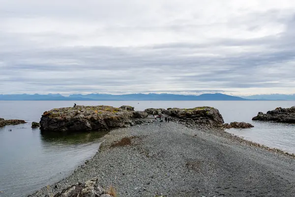 NANAIMO, CANADA - 29 Haziran 2024: Gürcistan Boğazı 'ndaki dalış dersleri için Neck Point Park Finn Sahili popüler Nanaimo bölgesi