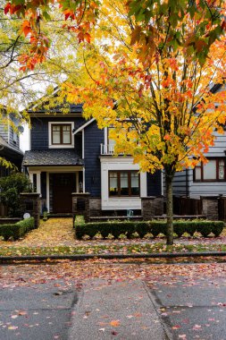 VANCOUVER, BC, CANADA - 10 Ekim 2024: Sürdürülebilir şehir evi ve ağaçlarında güz ağaçları olan şehir caddesi