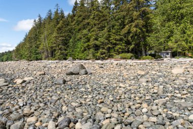 SOINTULA, Kanada - 30 HAZİRAN 2024 Malcolm Adası İngiliz Kolombiyası kıyısı