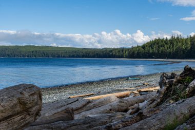 SOINTULA, CANADA - 30 HAZİRAN 2024 Malcolm Adası kıyısı eski ağaç kütükleriyle okyanusun güzel suyu mavi gökyüzünde bulutlar