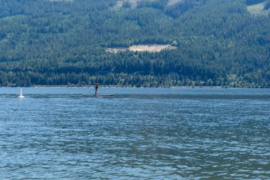 SALMON ARM, CANADA - 13 Temmuz 2024: Herald İl Parkı yakınlarındaki güneşli bir yaz gününde Güzel Shuswap Gölü