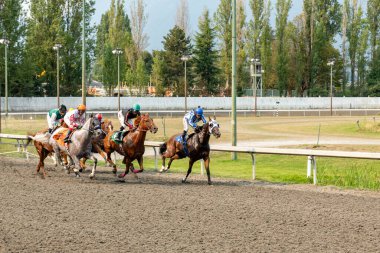 VANCOUVER, BC, CANADA - Eylül 07, 2024: Yarış atı jokeyi bitiş çizgisine yaklaşıyor, atlarla spor, şehir hipodromu
