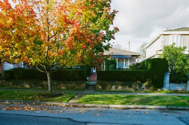 VANCOUVER, BC, CANADA - Kasım 01, 2024: Kuzey Amerika 'da sonbaharda lüks evlerde güzel manzaralı evler