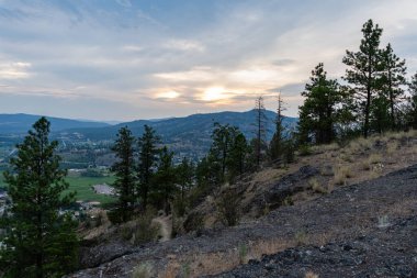 SUMERLAND, CANADA - 17 Temmuz 2024: British Columbia 'nın batısındaki Okanagan Gölü' nün batı yakasındaki Summerland ilçe belediyesinin havadan görünüşü