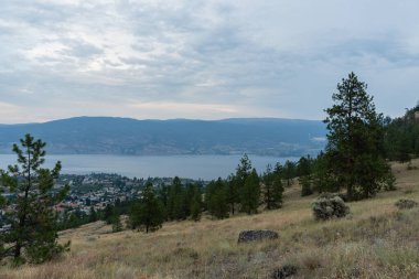 SUMERLAND, CANADA - 17 Temmuz 2024: British Columbia 'nın batısındaki Okanagan Gölü' nün batı yakasındaki Summerland ilçe belediyesinin havadan görünüşü