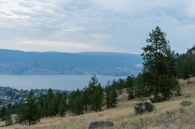 SUMERLAND, CANADA - 17 Temmuz 2024: British Columbia 'nın batısındaki Okanagan Gölü' nün batı yakasındaki Summerland ilçe belediyesinin havadan görünüşü