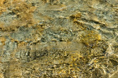 İstiridye Nehri Yürüyüş alanı güzel su doğası Vancouver Adası İngiliz Kolombiya Adası Kanada