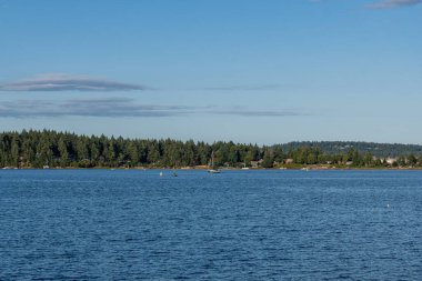 NANAIMO, CANADA - HAZİRAN 02, 2024: Maffeo Sutton Parkı çevresindeki Harbourfront geçidi manzarası