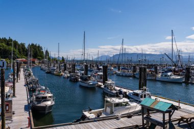 SOINTULA, CANADA - HAZİRAN 01, 2024: Güzel güneşli bir günde rıhtımdaki yat ve balıkçı tekneleri