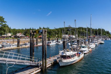 SOINTULA, CANADA - HAZİRAN 01, 2024: Güzel güneşli bir günde rıhtımdaki yat ve balıkçı tekneleri