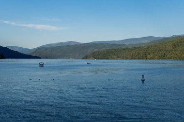 SALMON ARM, CANADA - 13 Temmuz 2024: Herald İl Parkı yakınlarındaki güneşli bir yaz gününde Güzel Shuswap Gölü