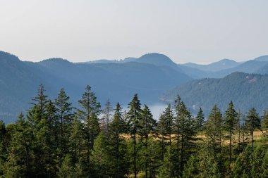 Vancouver Adası 'ndaki Saanich körfezinin hava panoramik görüntüsü British Columbia Canada