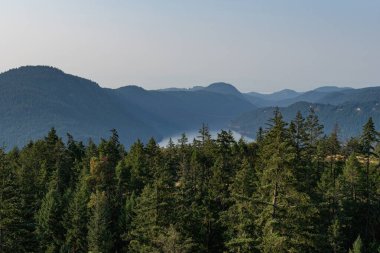 Vancouver Adası 'ndaki Saanich körfezinin hava panoramik görüntüsü British Columbia Canada