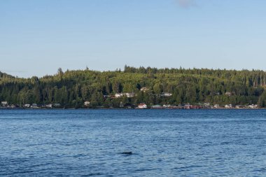 SOINTULA, CANADA - 1 Temmuz 2024: Malcolm Adası, Britanya Kolombiya Kanada 'sında dramatik bir günbatımı gökyüzü ile Kraliçe Charlotte Boğazı' nın günbatımı görüntüsü