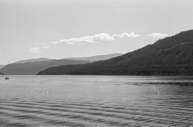 SALMON ARM, CANADA - 14 Temmuz 2024: Herald İl Parkı 'nın yakınında güneşli bir yaz günü British Columbia Canada' da siyah beyaz Shuswap Gölü