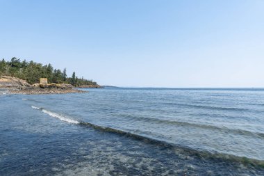 Salish sahil şeridi güneşli sahil İngiliz Kolumbiyası