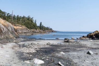 Salish sahil şeridi güneşli sahil İngiliz Kolumbiyası