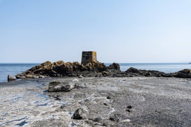 Salish sahil şeridi güneşli sahil İngiliz Kolumbiyası